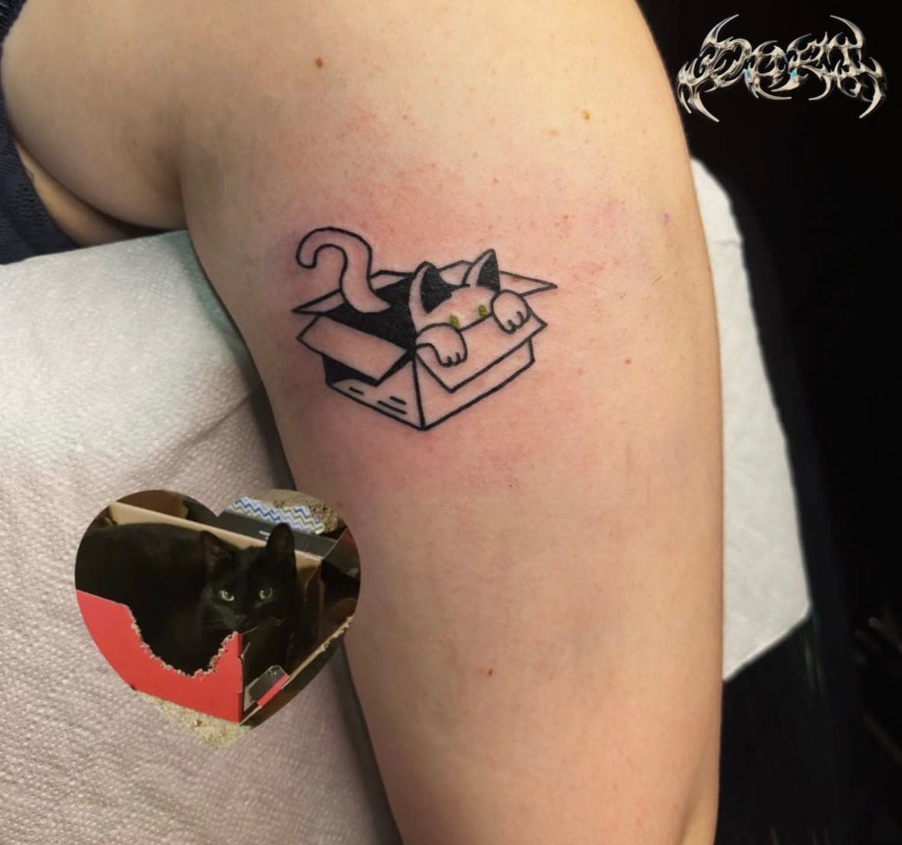 Cat tattoo