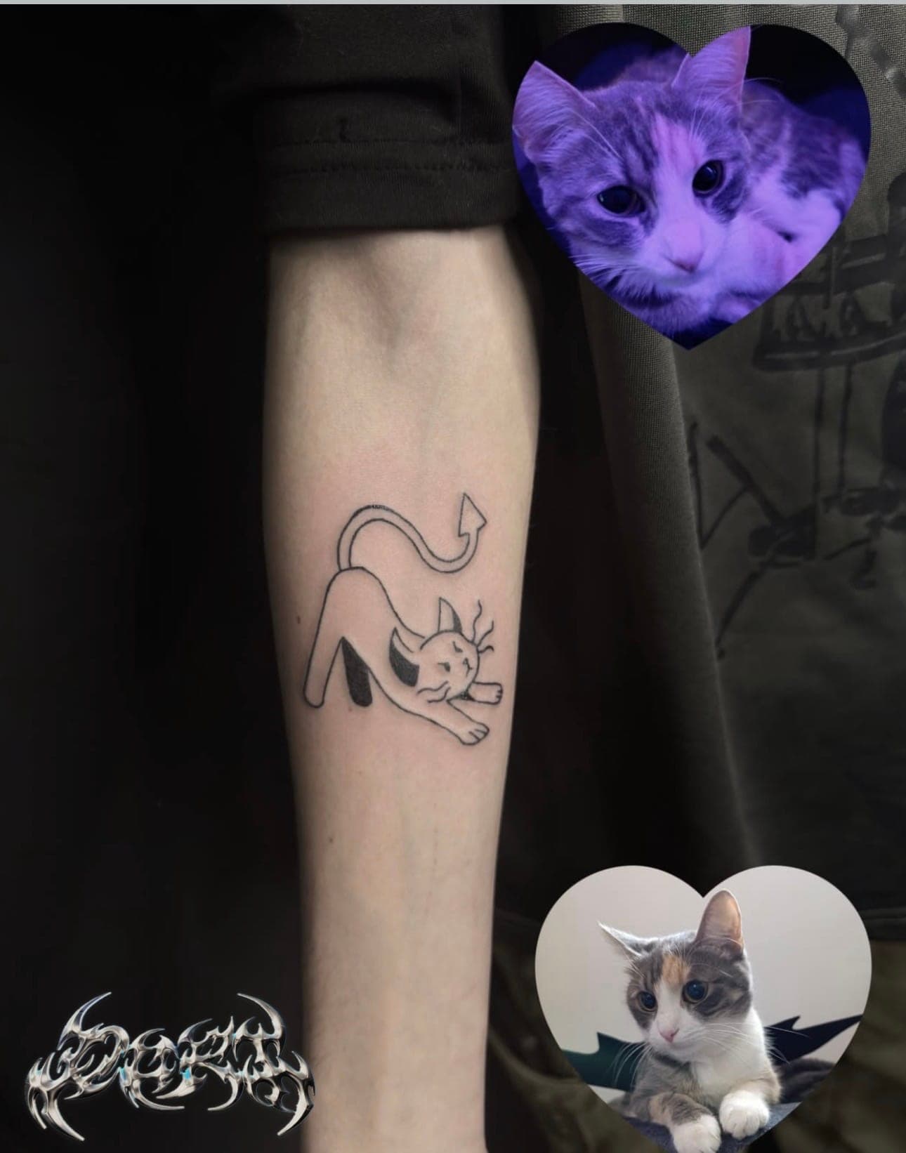 Cat tattoo