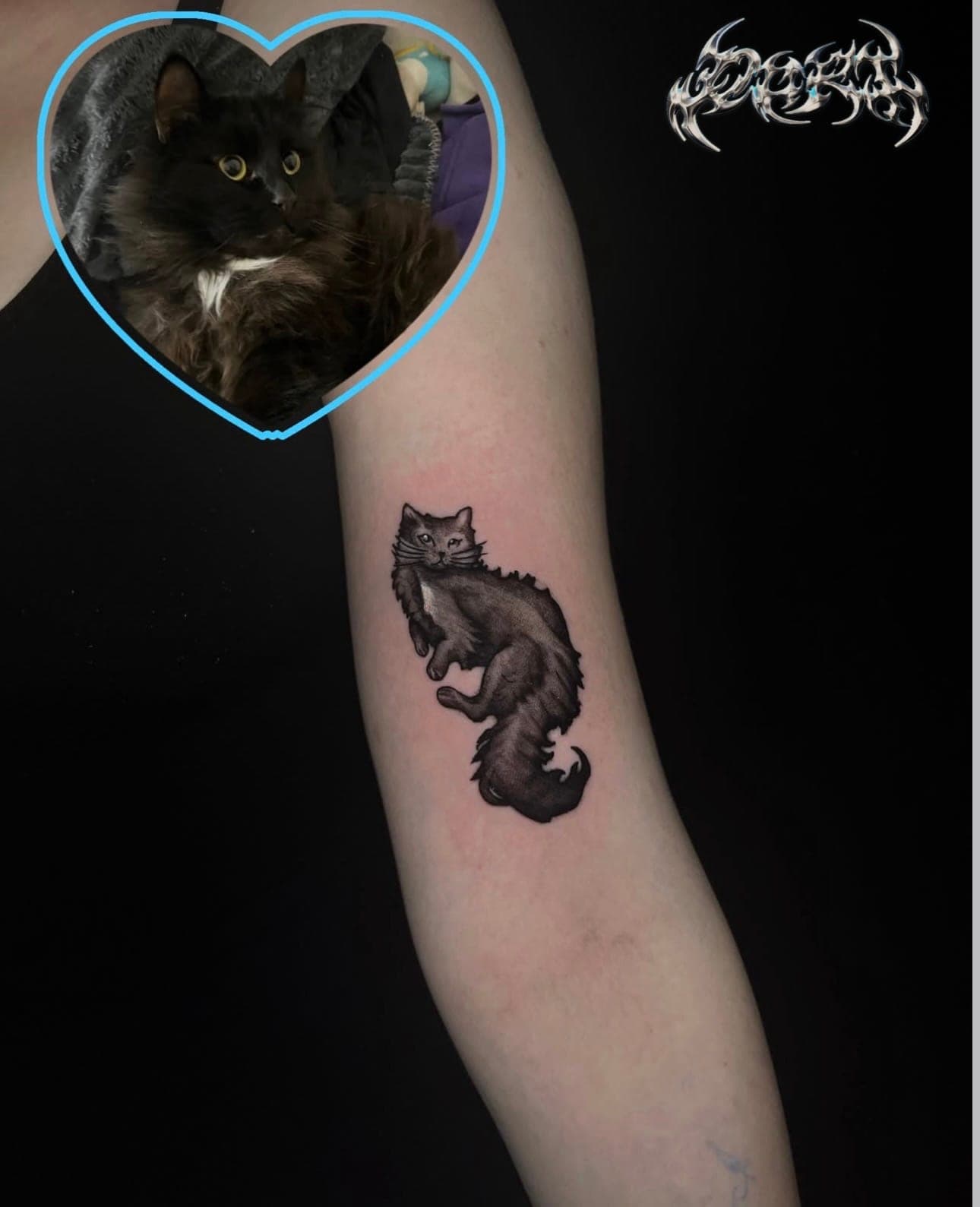 Cat tattoo