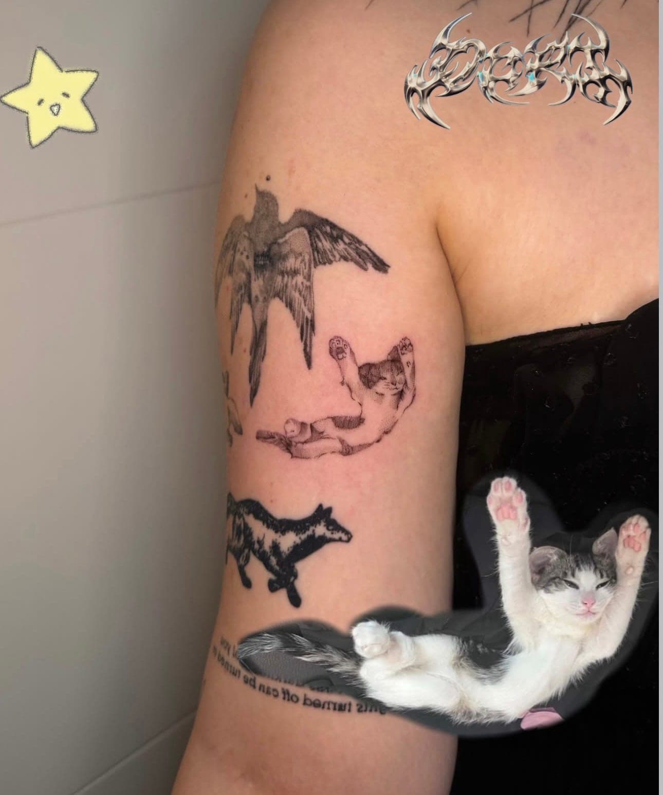 Cat tattoo